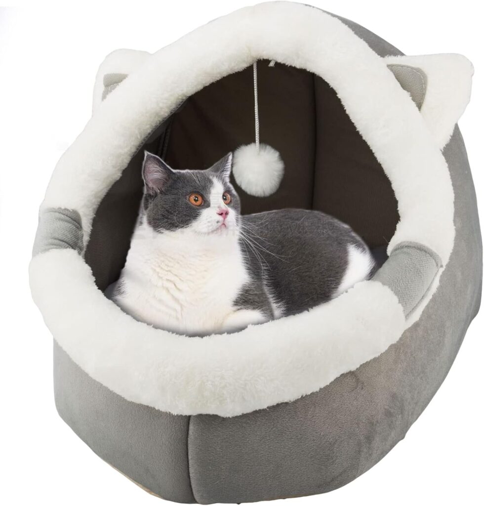 Cat Cave Bed with Hanging Toy Review: Adorable Design, Structural Disappointment